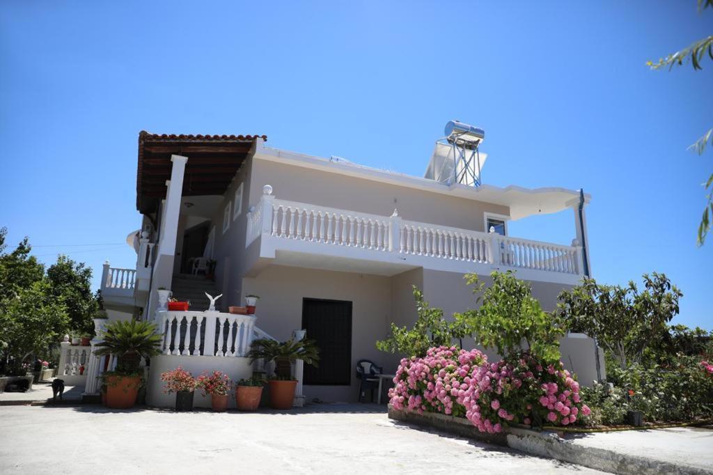 Guest House Narta Vlorë Exterior foto